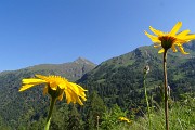 LAGO DEL VALLONE (2226 m): la mia prima e in solitaria alla scoperta dello spettacolare gioiello lacustre il 1 luglio 2018  - FOTOGALLERY